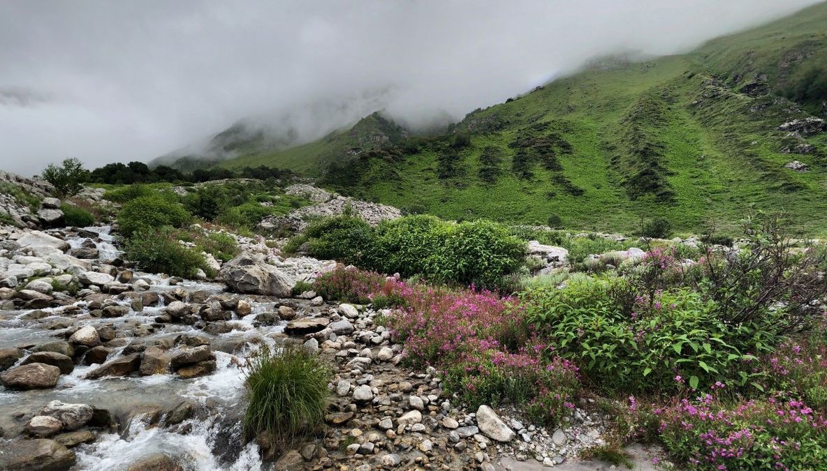 valley of flowers tour package